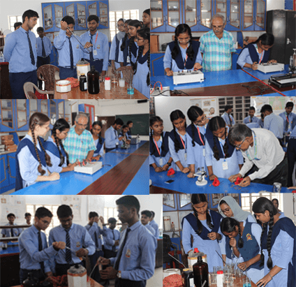 Millia Convent English School
